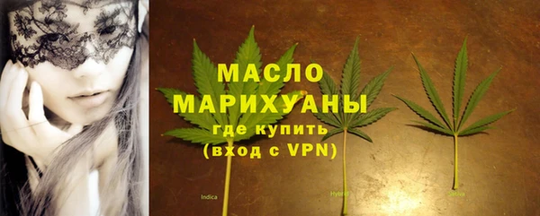 гидра Новодвинск