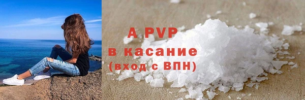 стаф Новокубанск