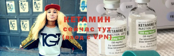 гидра Новодвинск