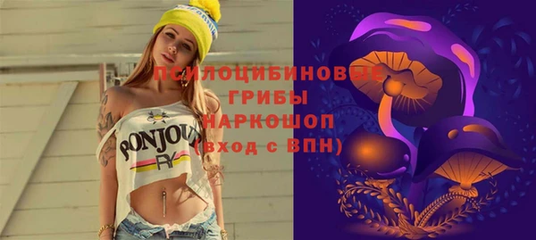 гидра Новодвинск