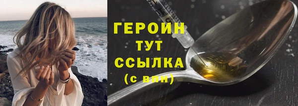 гидра Новодвинск