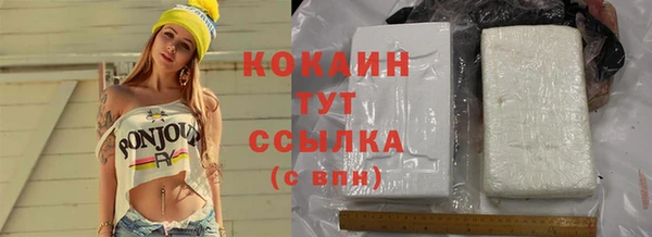 стаф Новокубанск