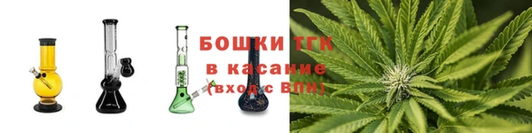 стаф Новокубанск