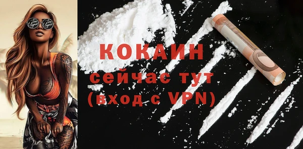 стаф Новокубанск