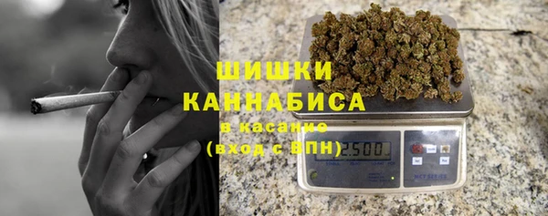гидра Новодвинск