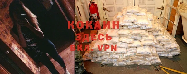 гидра Новодвинск