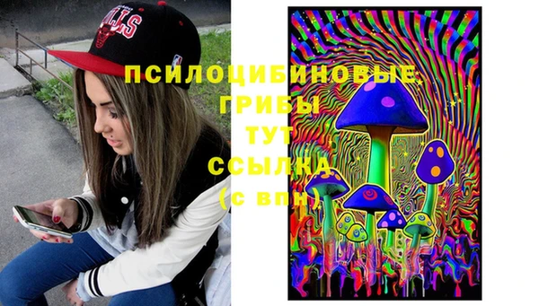 ALPHA PVP Новозыбков